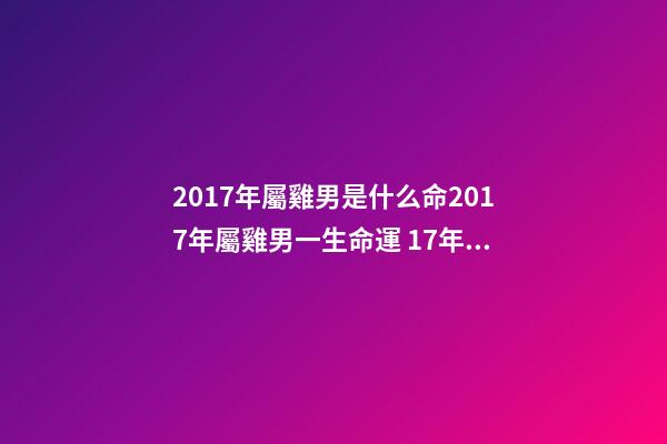 2017年屬雞男是什么命2017年屬雞男一生命運 17年陽歷7月24號酉時出生的的男孩一生才運命運如何？-第1張-觀點-玄機派